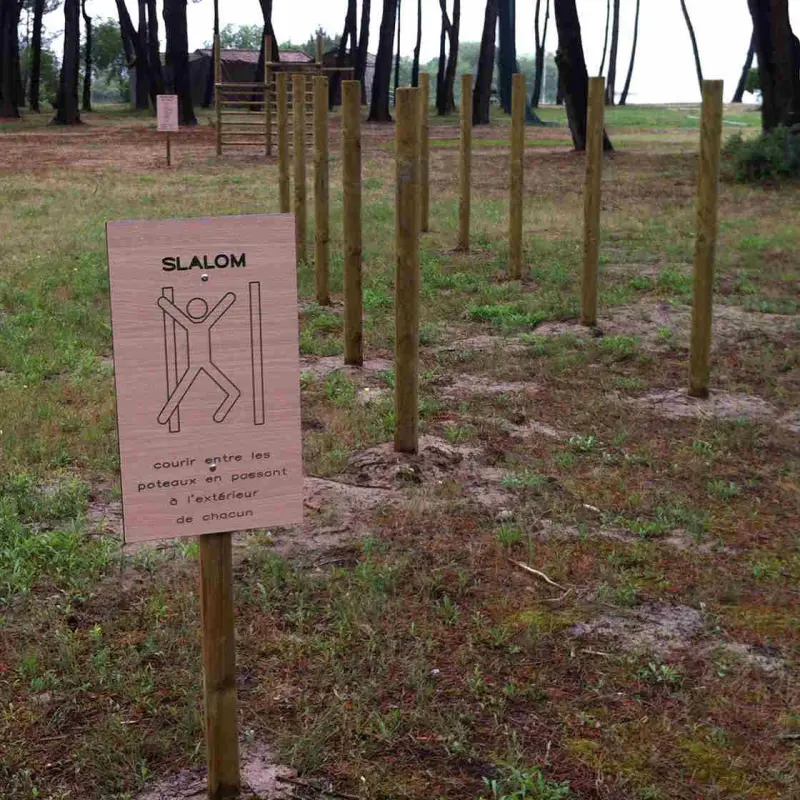 Slalom (10 plots)