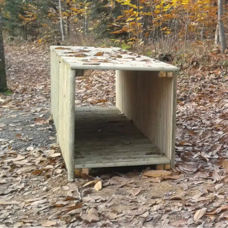 Tunnel