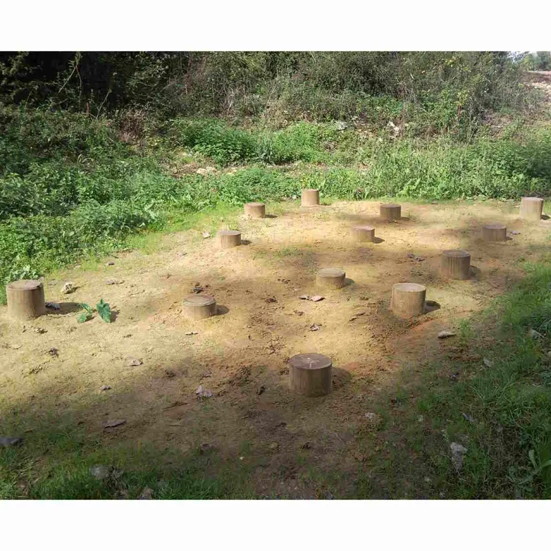 Pas de géants (15 plots)