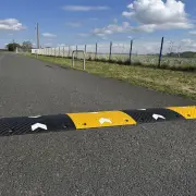 Speed bumps